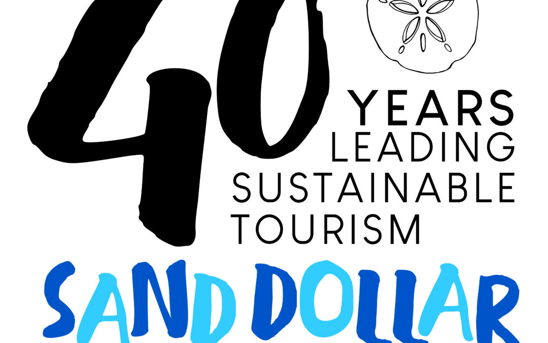 Sand Dollar Sports, pioneers in tourism sustainability
