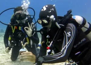 Scuba divers placing coral fragments on coral platform