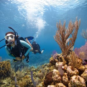 PADI Open Water Diver Course