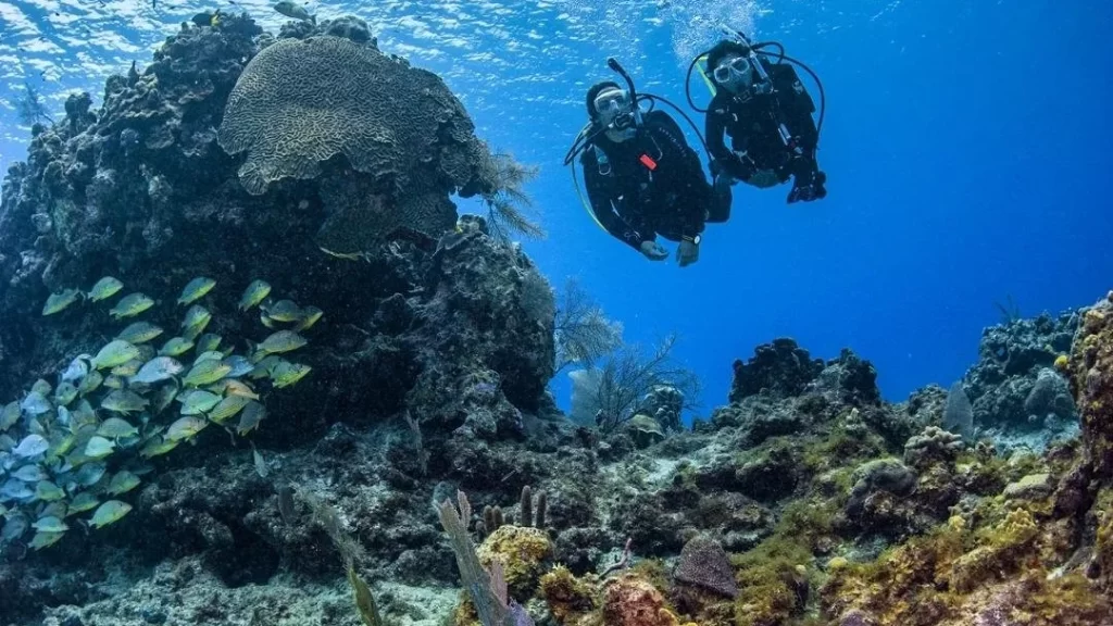 2 divers underwater
