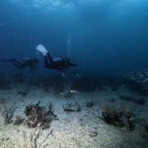 two divers doing night dive