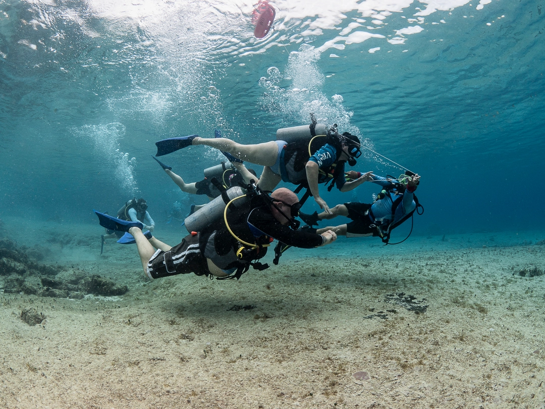 Discover Scuba Diving in Cozumel - Sand Dollar Sports