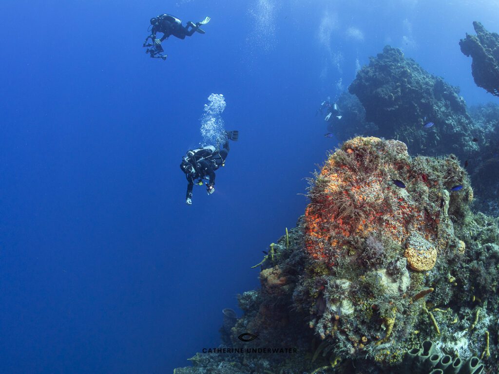 scuba diving at Santa Rosa Wall