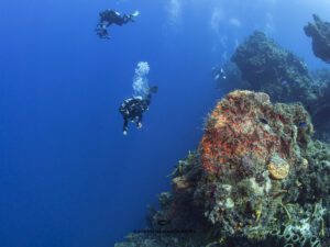 scuba diving at Santa Rosa Wall