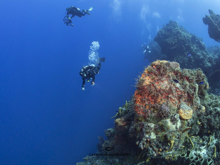 scuba diving at Santa Rosa Wall