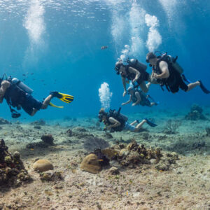 2 tank boat dive