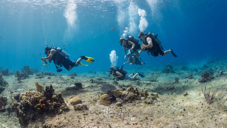 discover scuba diving