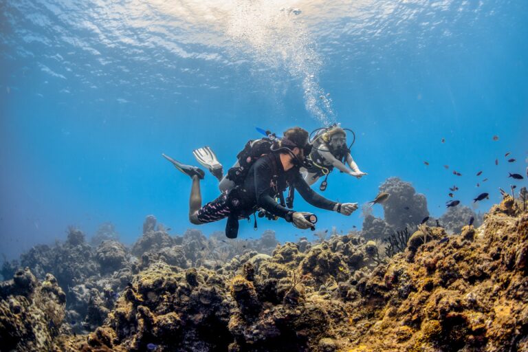 Becoming a PADI Open Water Scuba Diver