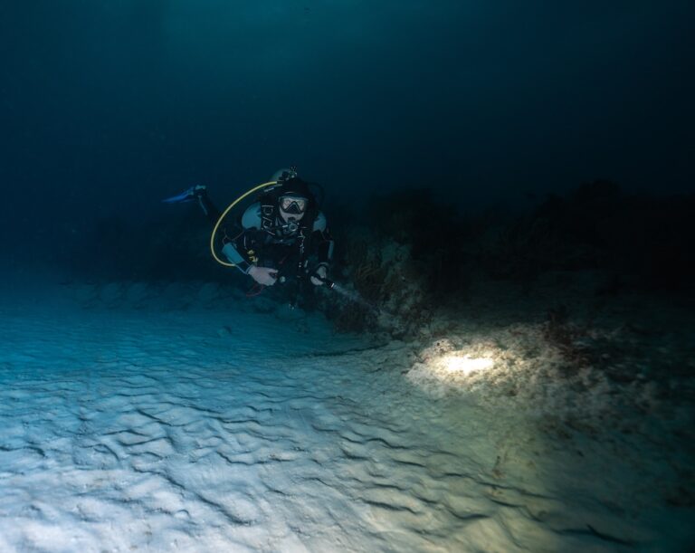 night diving in cozumel