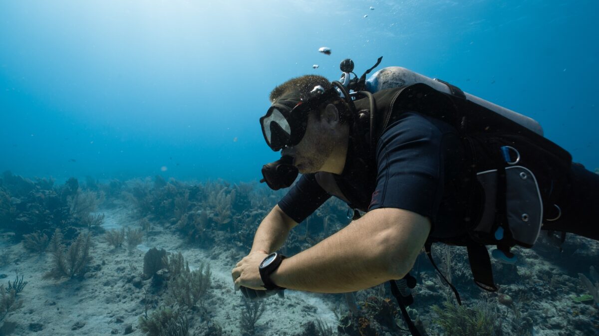 cozumel scuba diving