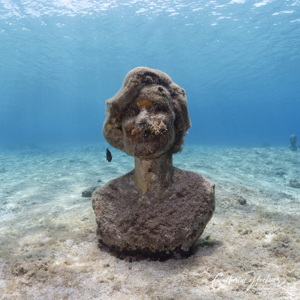 Sculpture of Sylvia Earle underwater at Sand Dollar Sports