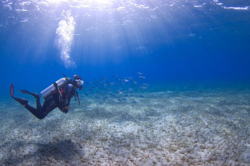 a person in scuba gear swimming under water with fish