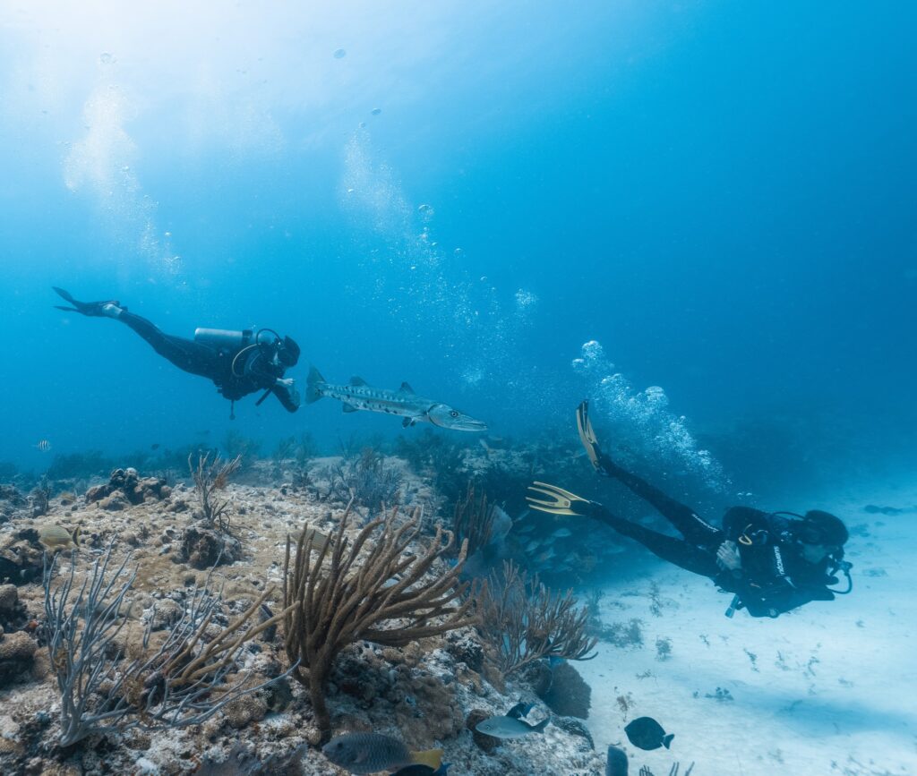 dive packages