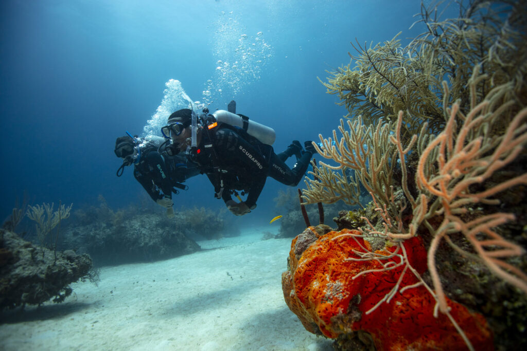 scuba diver etiquette