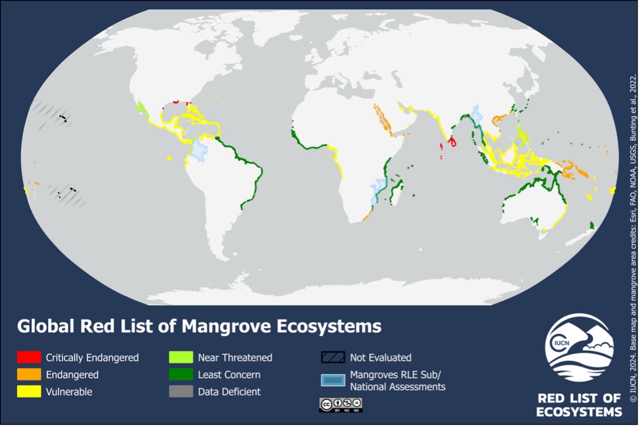 mangrove ecosystems
