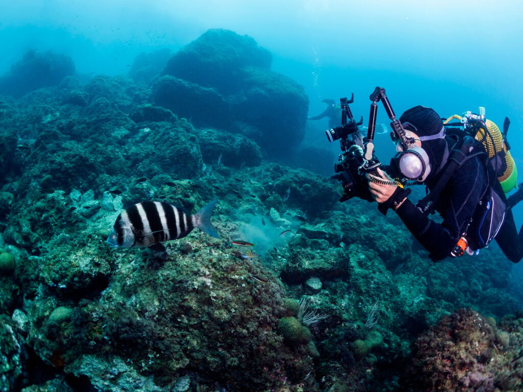 scuba diver taking picture of striped fish