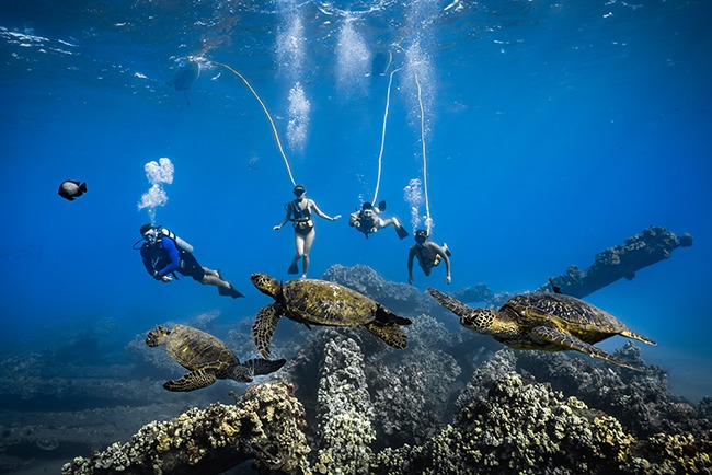 Snuba in cozumel