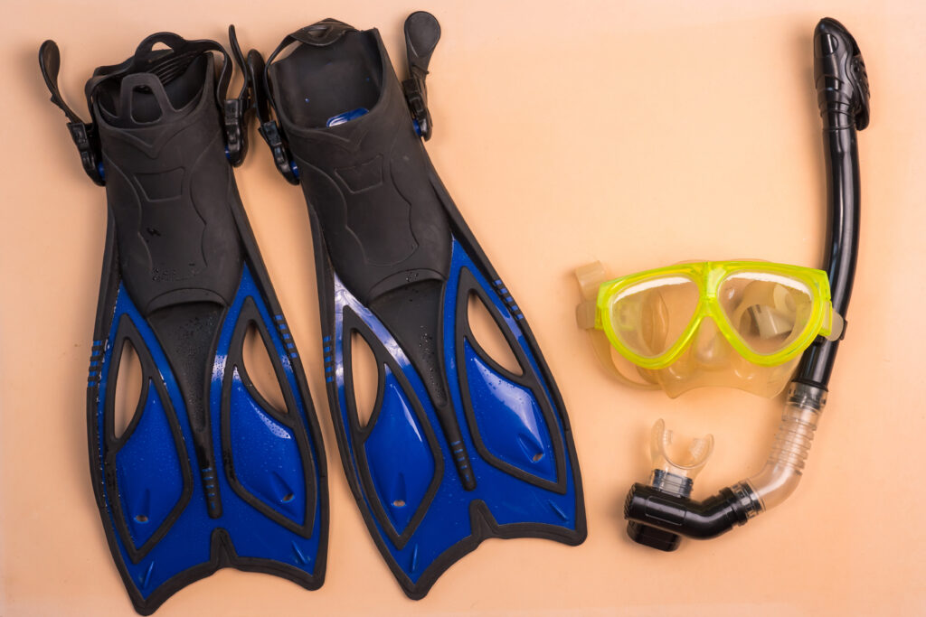 scuba diving vs. snorkeling