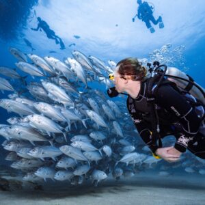 cozumel scuba diving packages