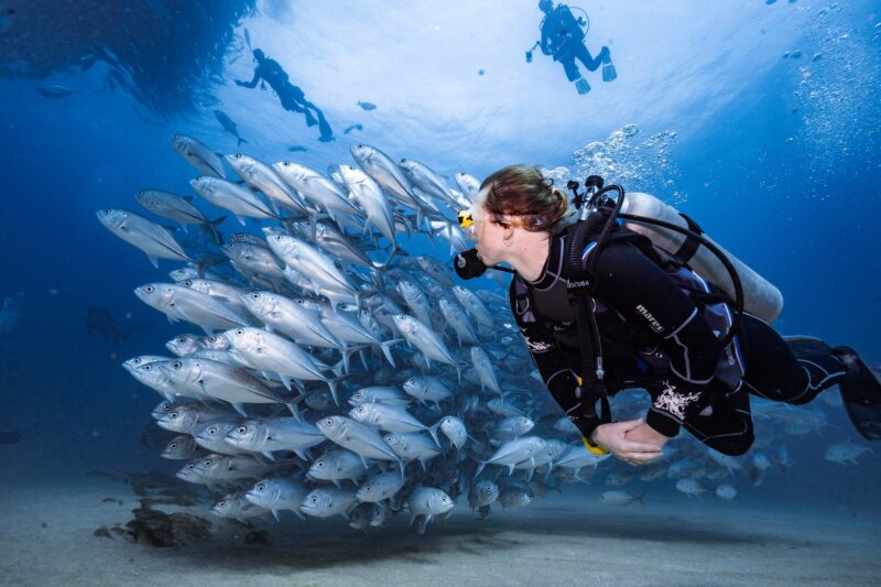 cozumel scuba diving packages