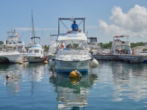 sand dollar sports dive boat
