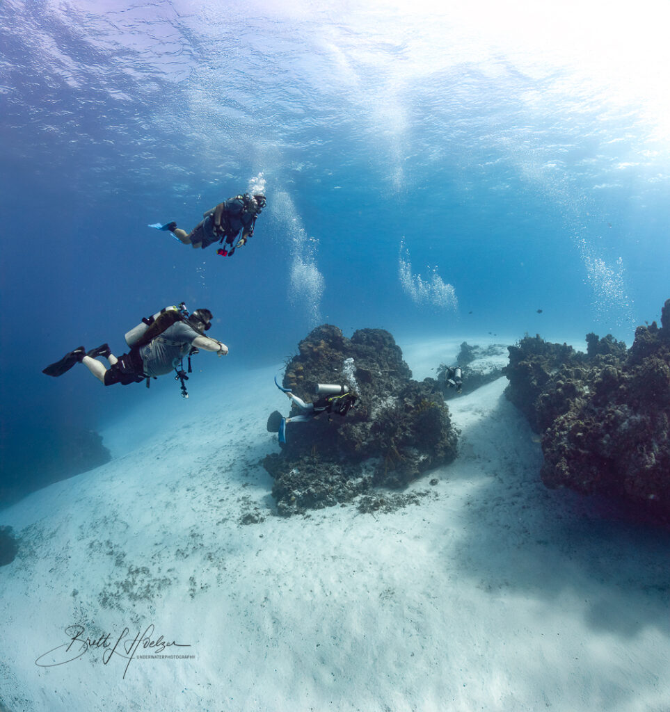 Palancar Reef Cozumel