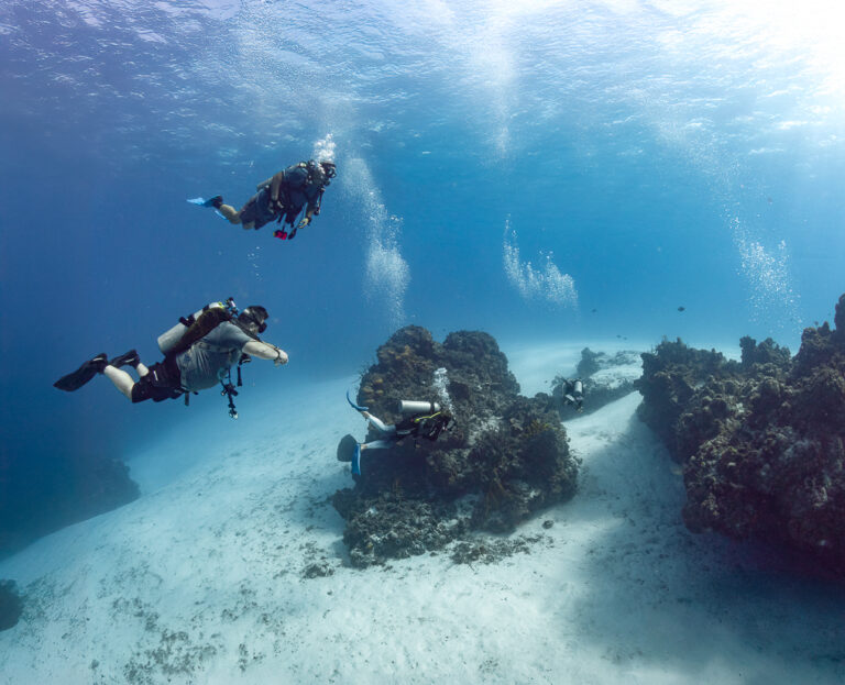 Palancar Reef Cozumel