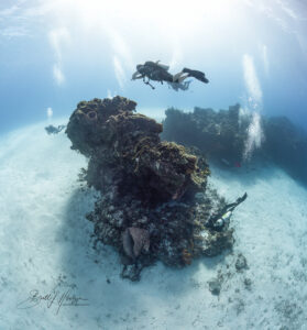 plantar reef cozumel
