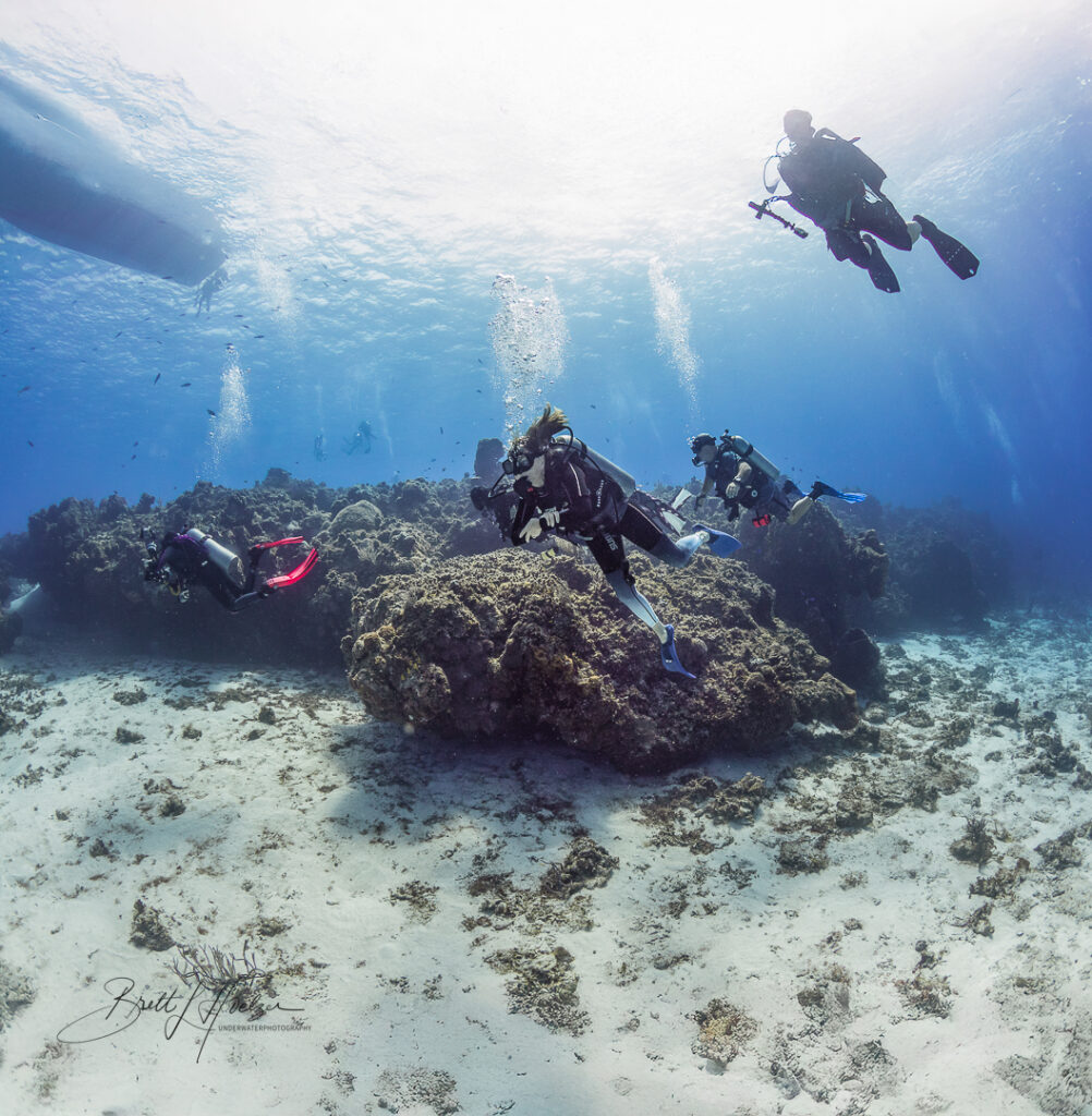 scuba diving in cozumel