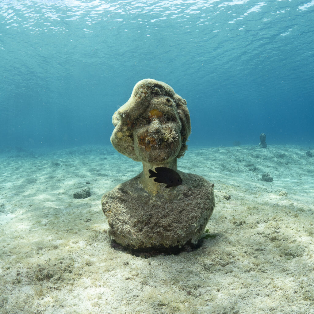 Sylvia Earle
