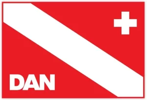 DAN flag logo