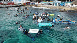 divers at Sand Dollar Sports house reef protesting 4th pier construction