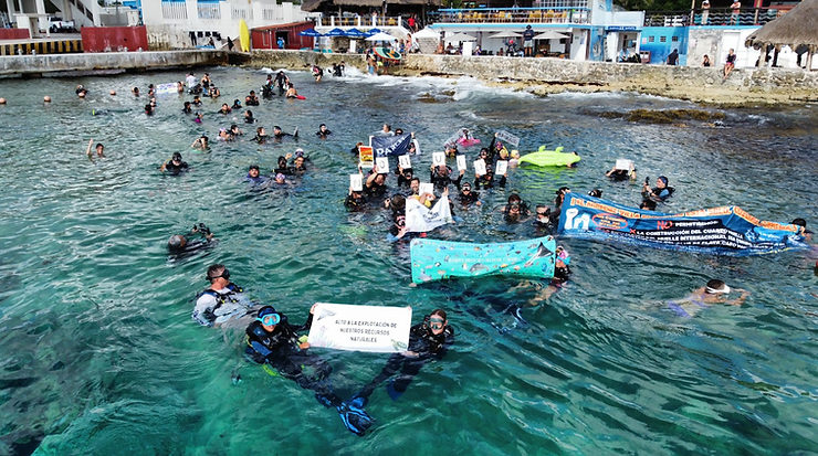 divers at Sand Dollar Sports house reef protesting 4th pier construction