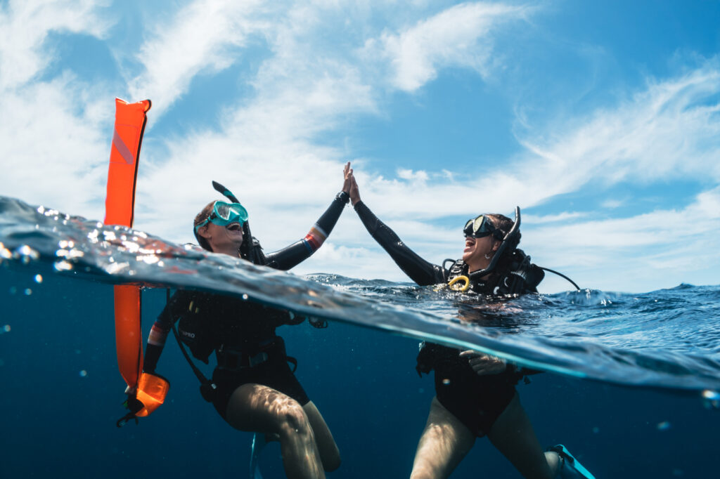 Cozumel Private Boat Dives