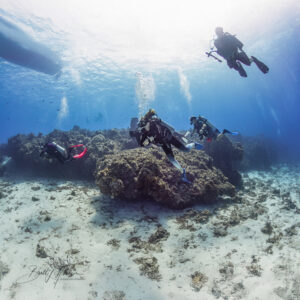 Cozumel Private Boat Dives