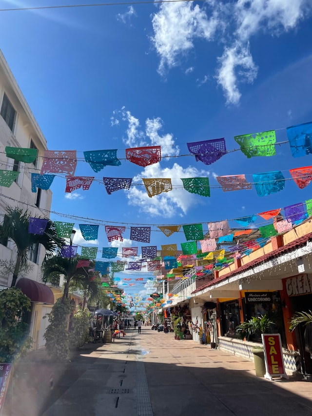 cozumel diving in november