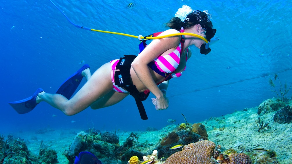 snuba diver