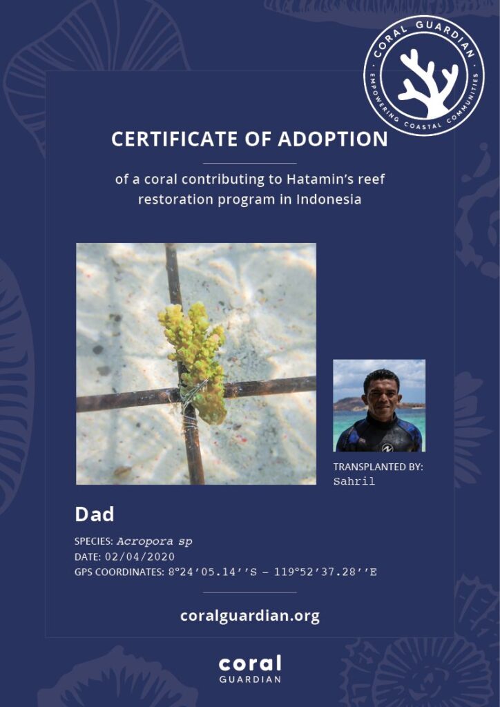 coral certificate of adoption
