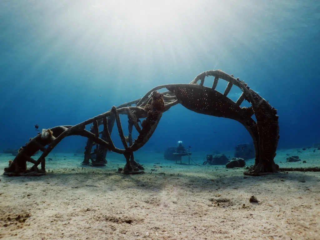 coral reef restoration tour