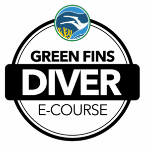 sustainable diving in cozumel
