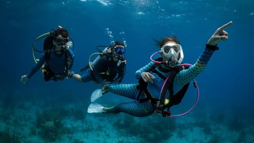 PADI OWD course