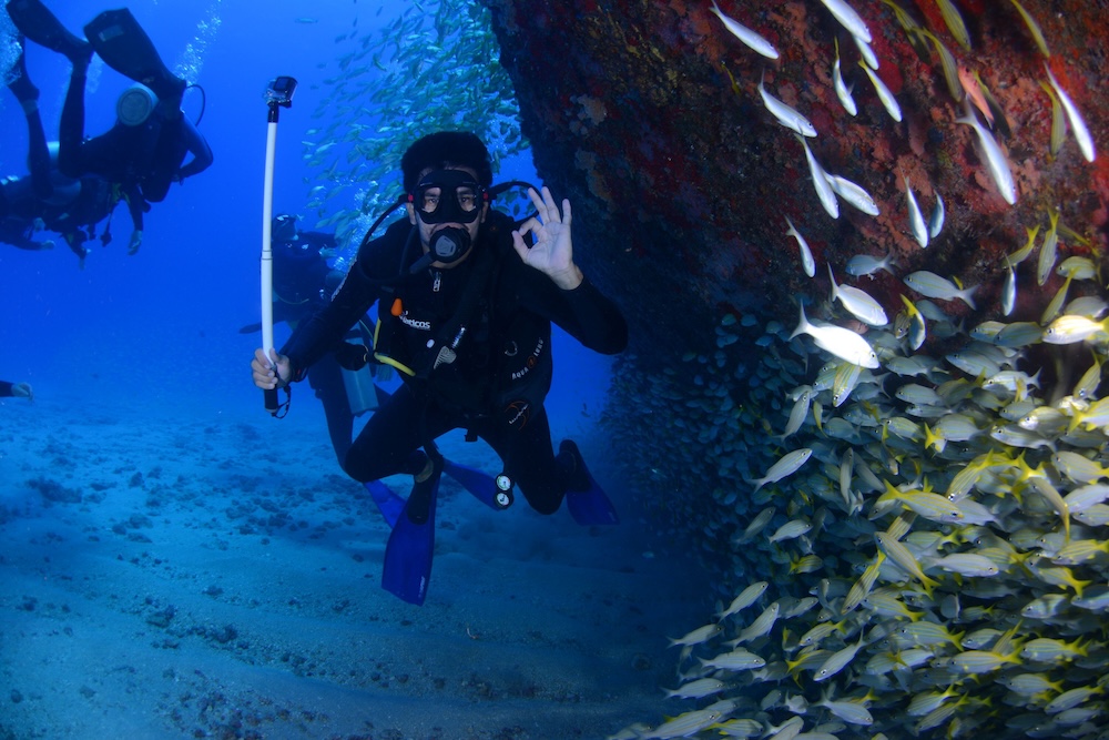 choosing the perfect dive destination
