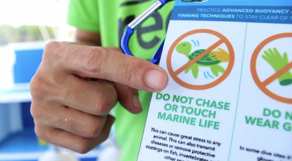 sustainable diving in cozumel