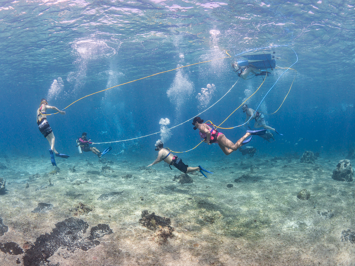 snuba in cozumel