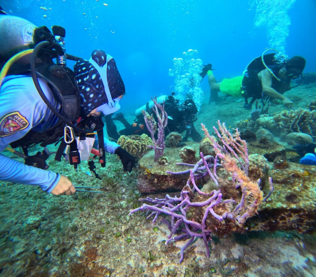 team cleaning coral reef platform
