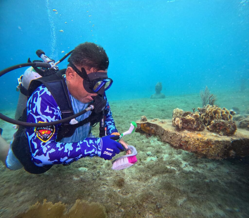diver with coral cleaning tools