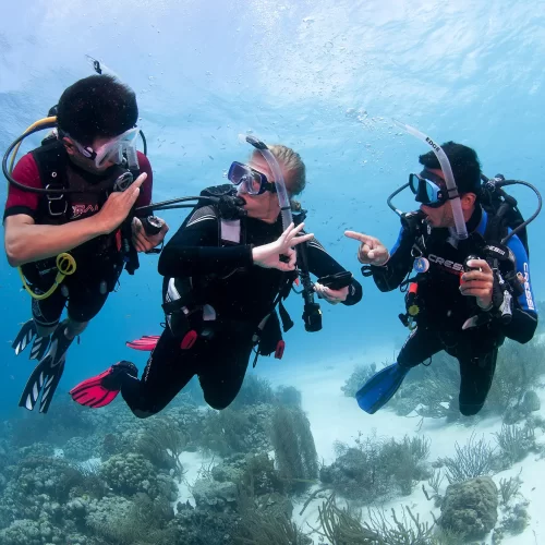 2 Diver learning to scuba dive in Cozumel