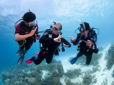 PADI Open Water Certification Course