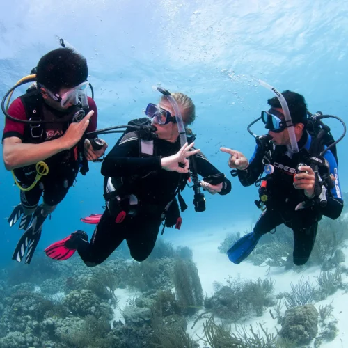 PADI-Scuba-Diving-Course PADI Open Water Certification Course