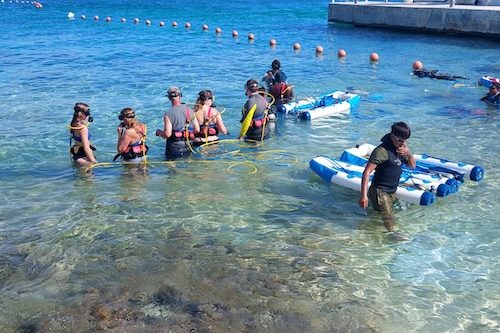 snuba guests in water